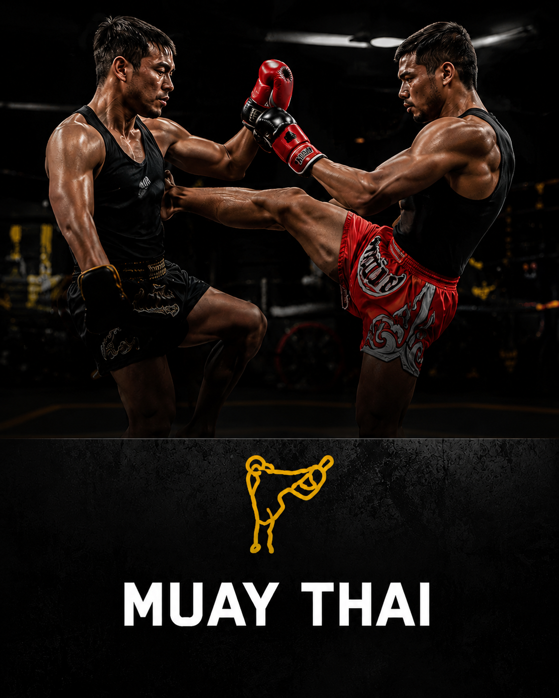 Muay Thai com Mestre Roberto Paixão